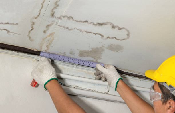 Reliable Mold Remediation contractor in Harrietta, MI by Water Damage Irwin
